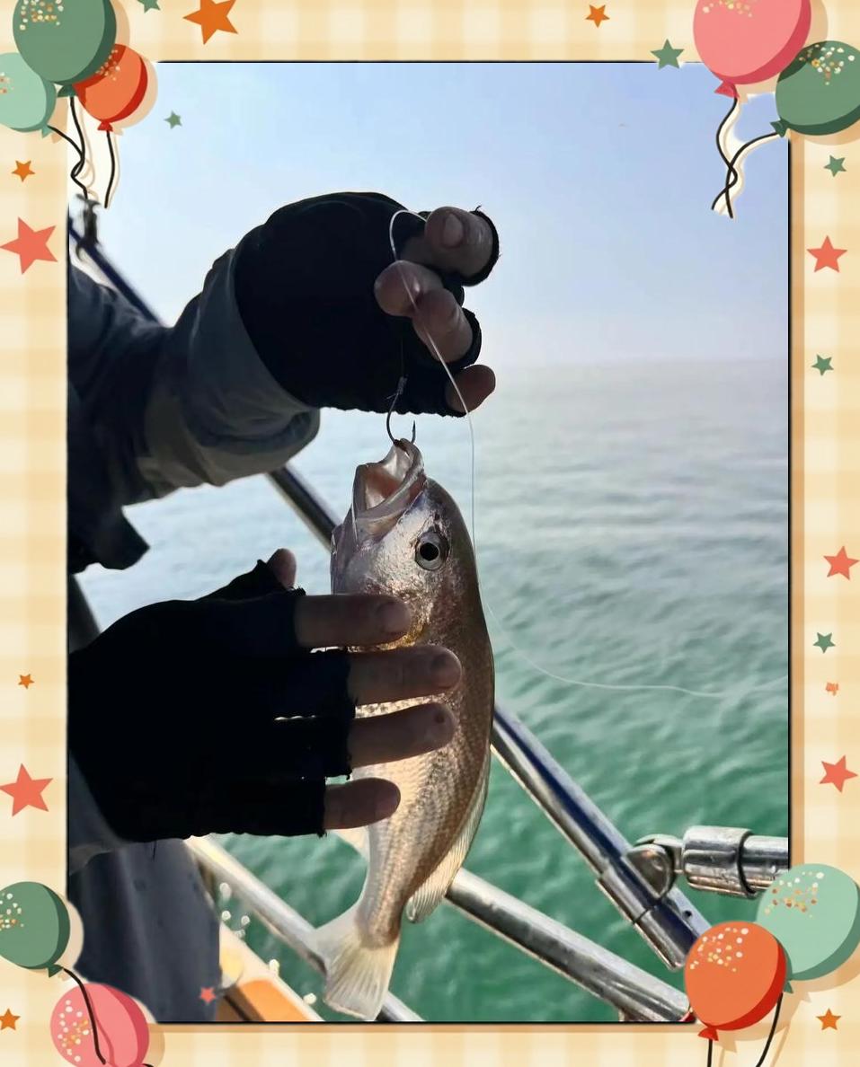 海钓南风(南风钓位选择)