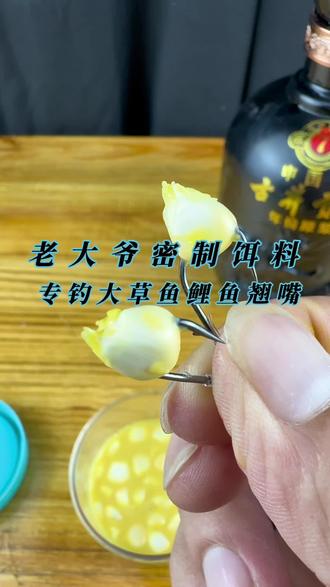 自制鲤鱼草鱼饵料(自制鲤鱼草鱼饵料配方)