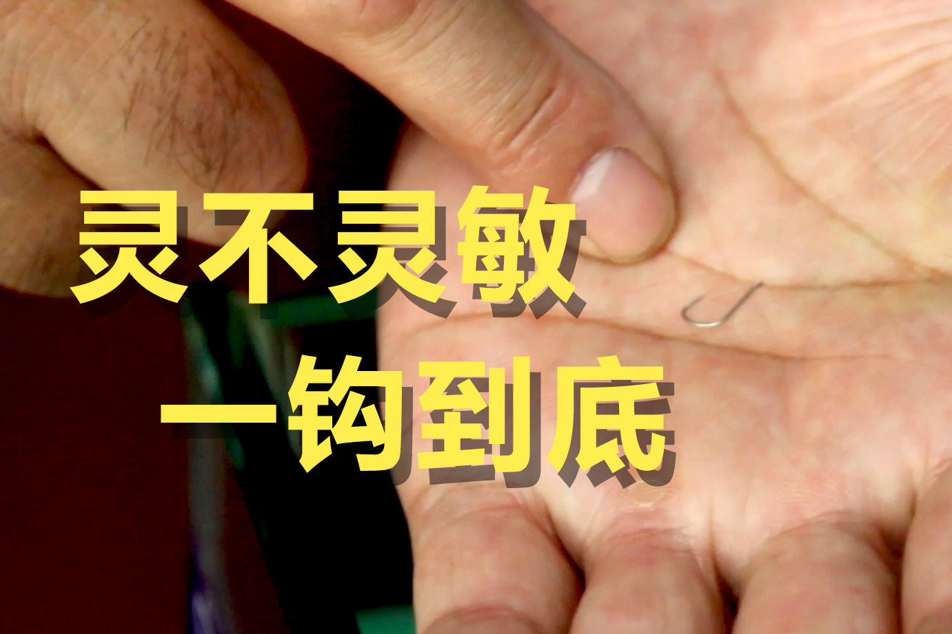 程宁钓鱼技巧视频(程宁钓鱼教学视频)