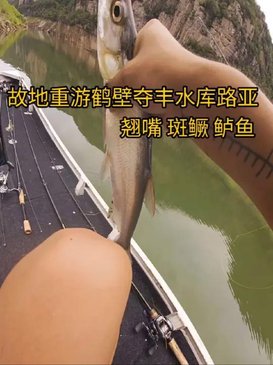 巢湖路亚资源(巢湖人力资源和社会保障局)