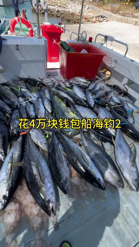 湛江海钓包船(湛江海钓鱼视频完整版)