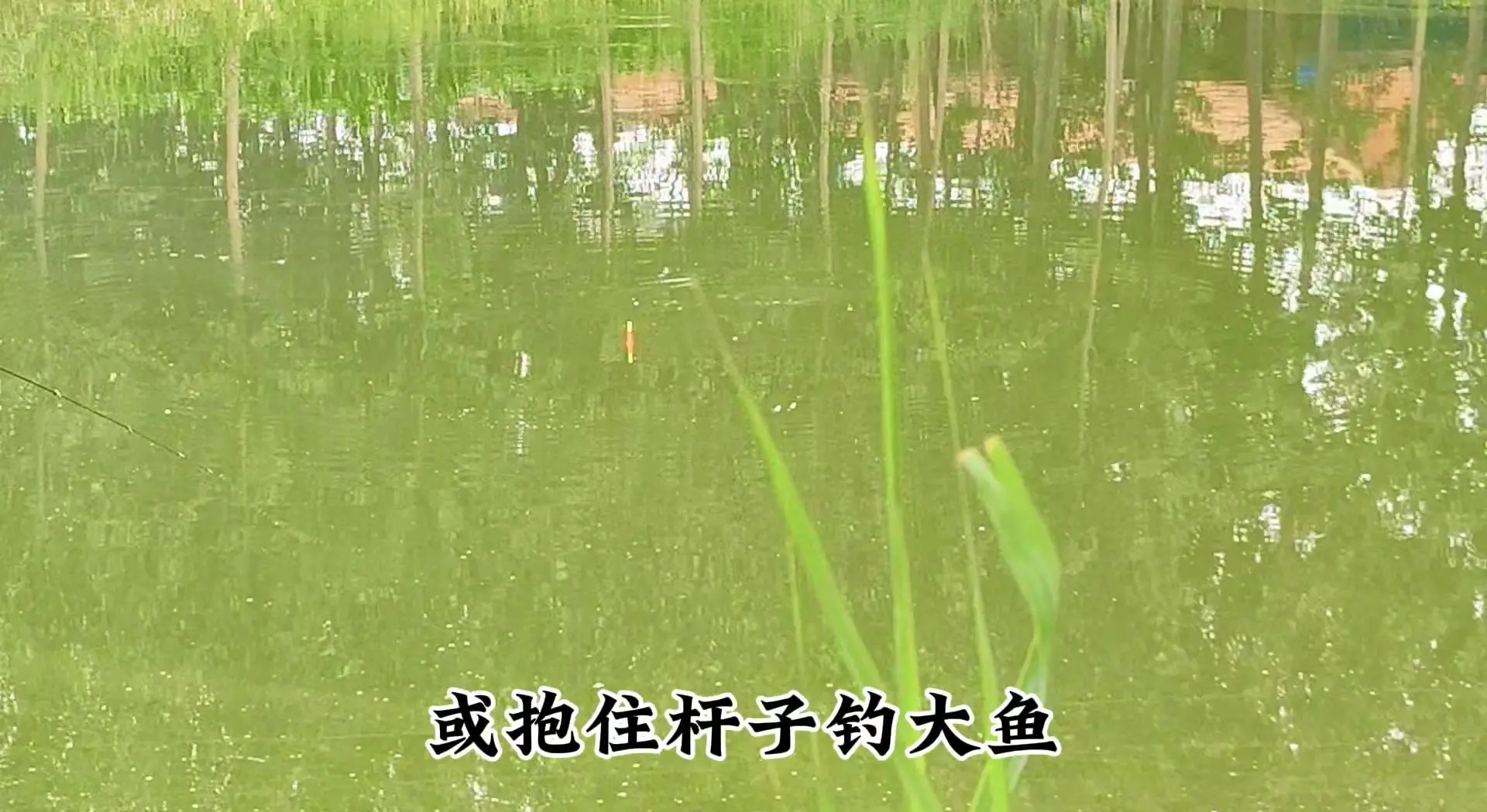 大鱼板技巧(大鱼板能练技术吗)
