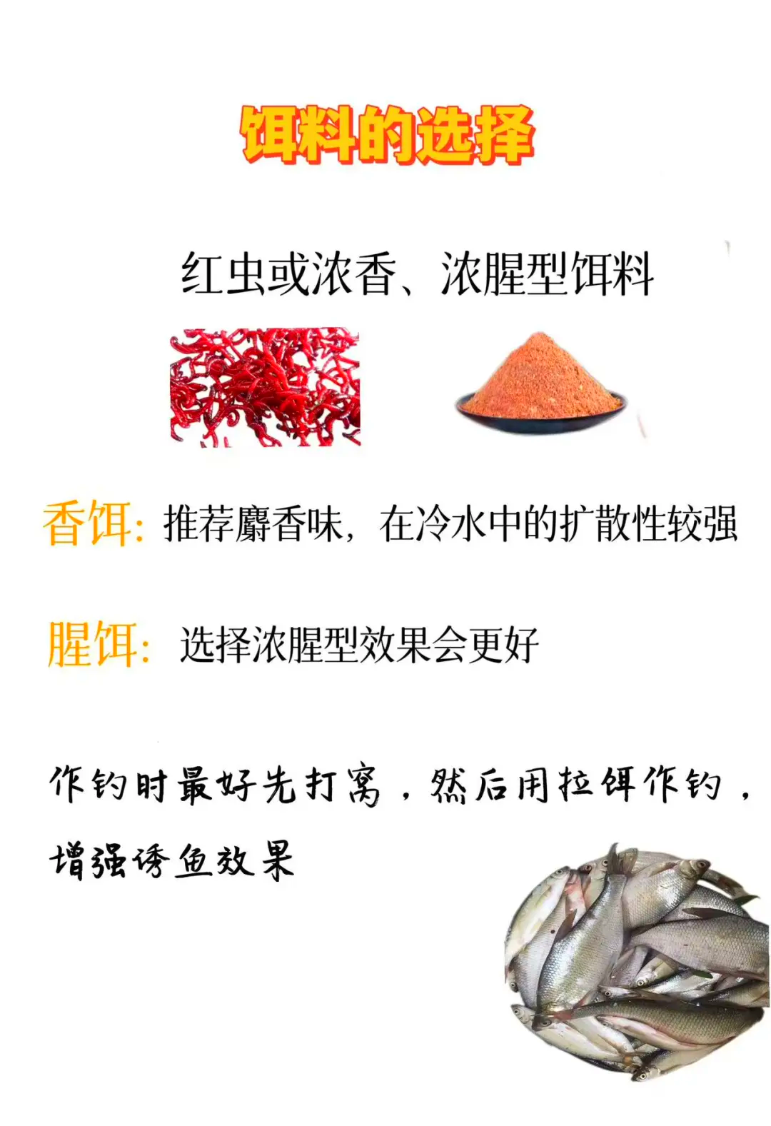 北方春季钓鳊鱼技巧(春天钓鲻鱼)