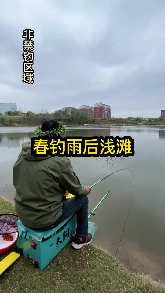 清明节过后钓鱼技巧(清明过后怎样钓鱼)