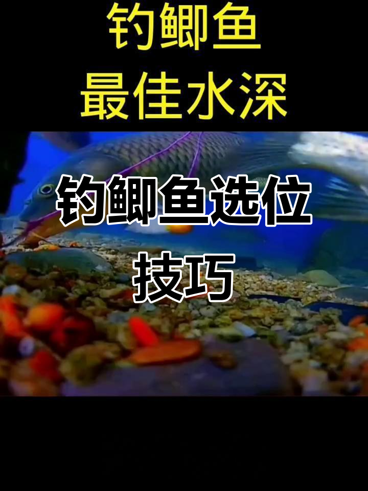 30厘米水深钓鱼技巧(30厘米水深钓鱼技巧图片)