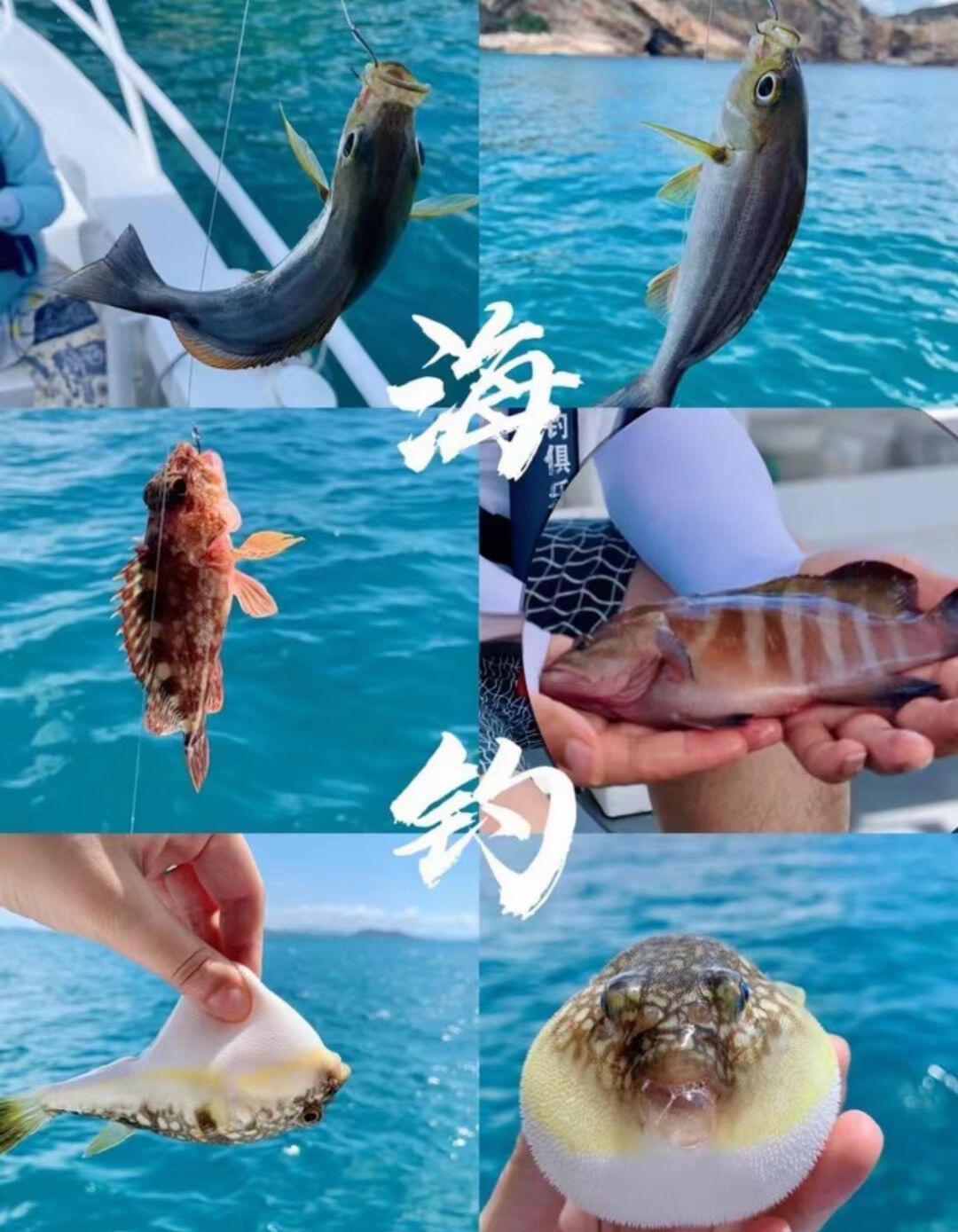 深圳秋天海钓(深圳海边野钓)