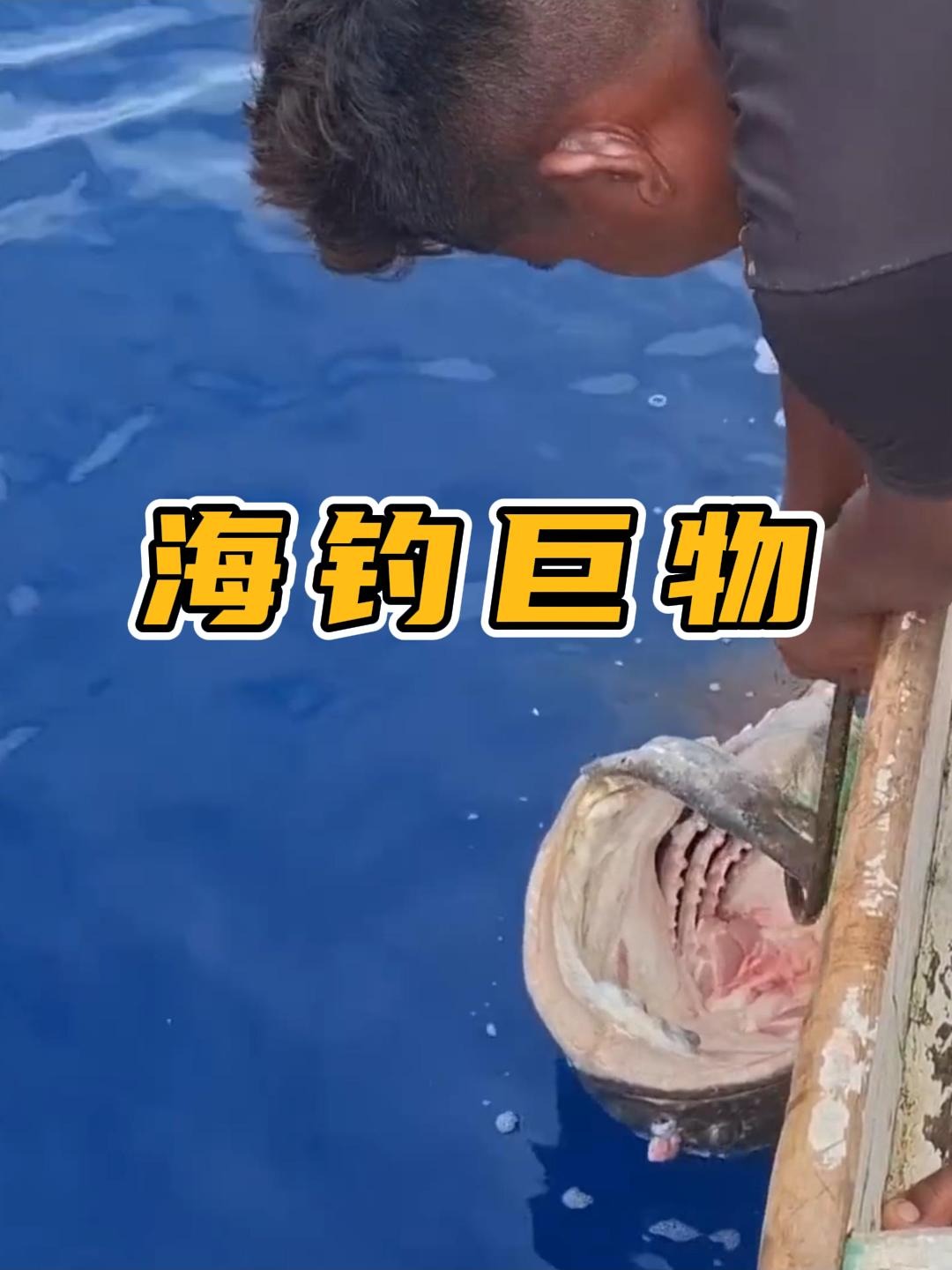 如何用海钓河鱼(海钓技巧钓海鱼技巧基础篇)
