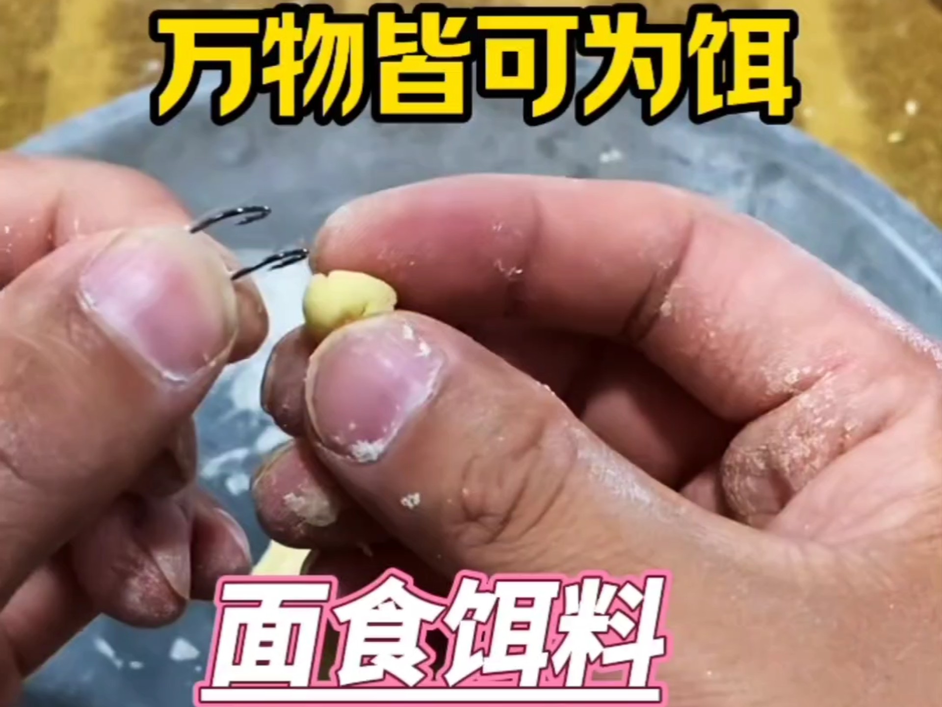 自制综合饵料(自制饵料视频)