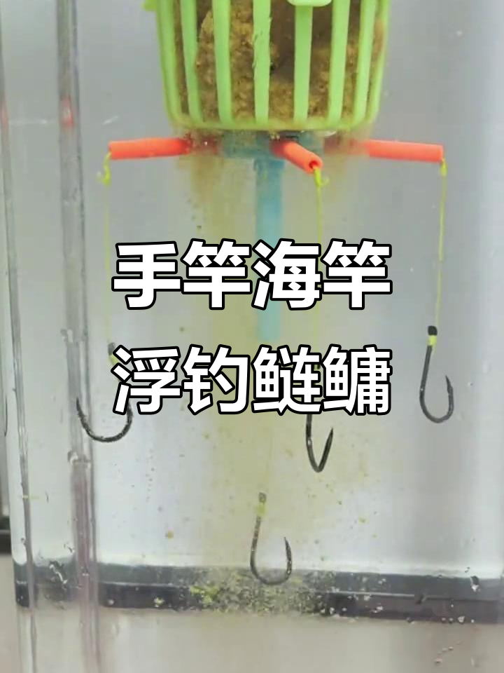 手竿约鲢鱼技巧(手竿钓鲢鱼技巧)