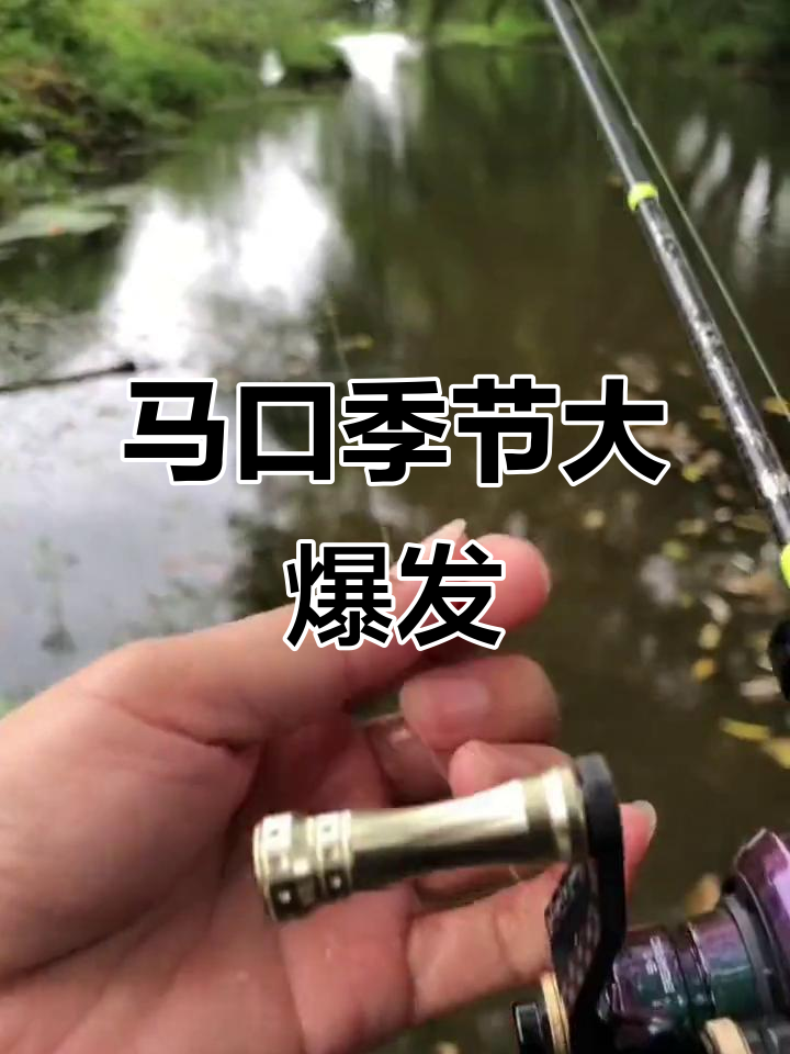 路亚马口技巧(路亚马口的技巧)