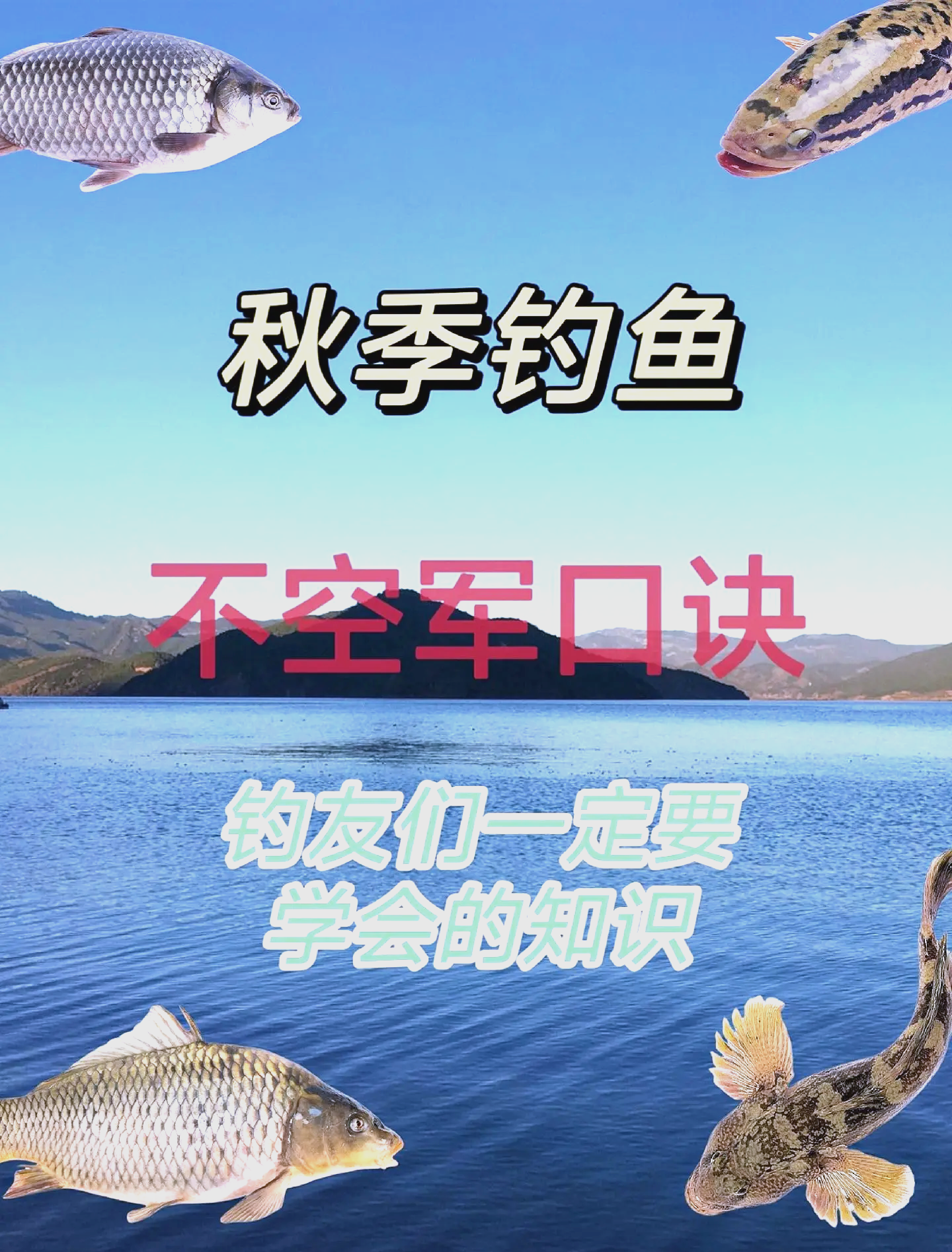 秋天鱼坑钓鱼技巧(秋天钓位)