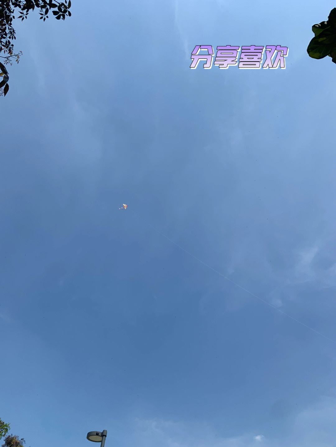潮连岛海钓(青岛海钓最好的地方)