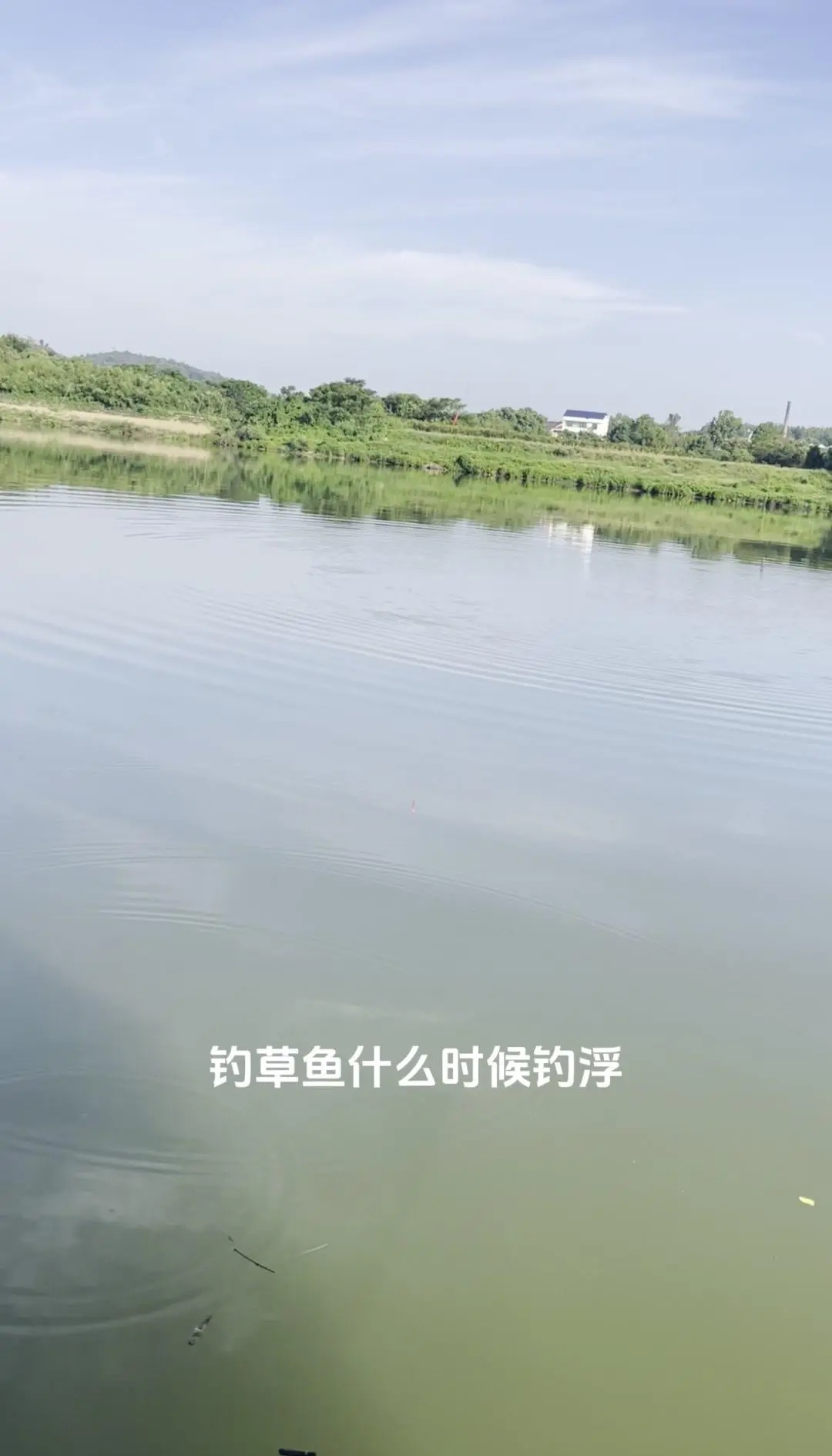 河边钓草鱼技巧(河边钓草鱼用什么饲料)