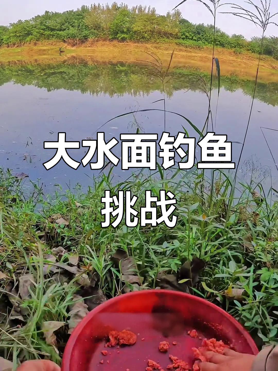 手竿夜钓鲫鱼技巧(夜钓鲫鱼技巧 夜钓技巧大全)