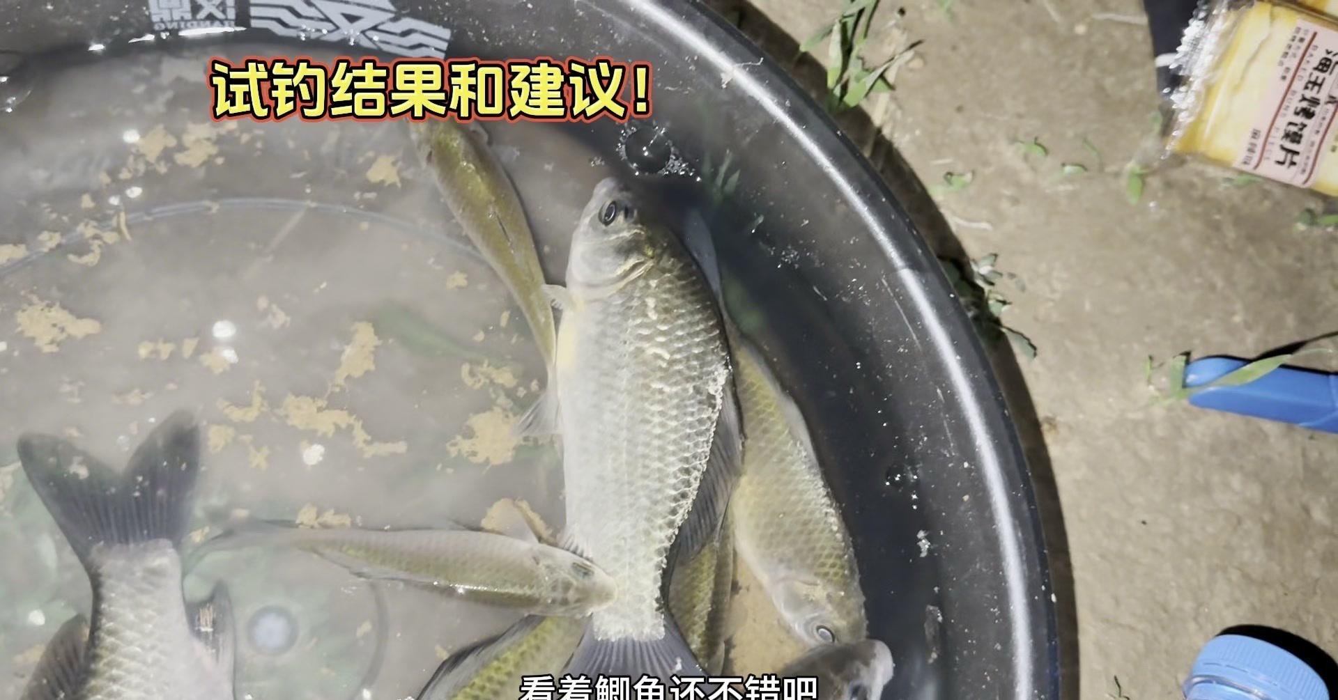 秋天沙坑钓鲫鱼技巧(秋天沙坑钓鱼选择什么位置最好)