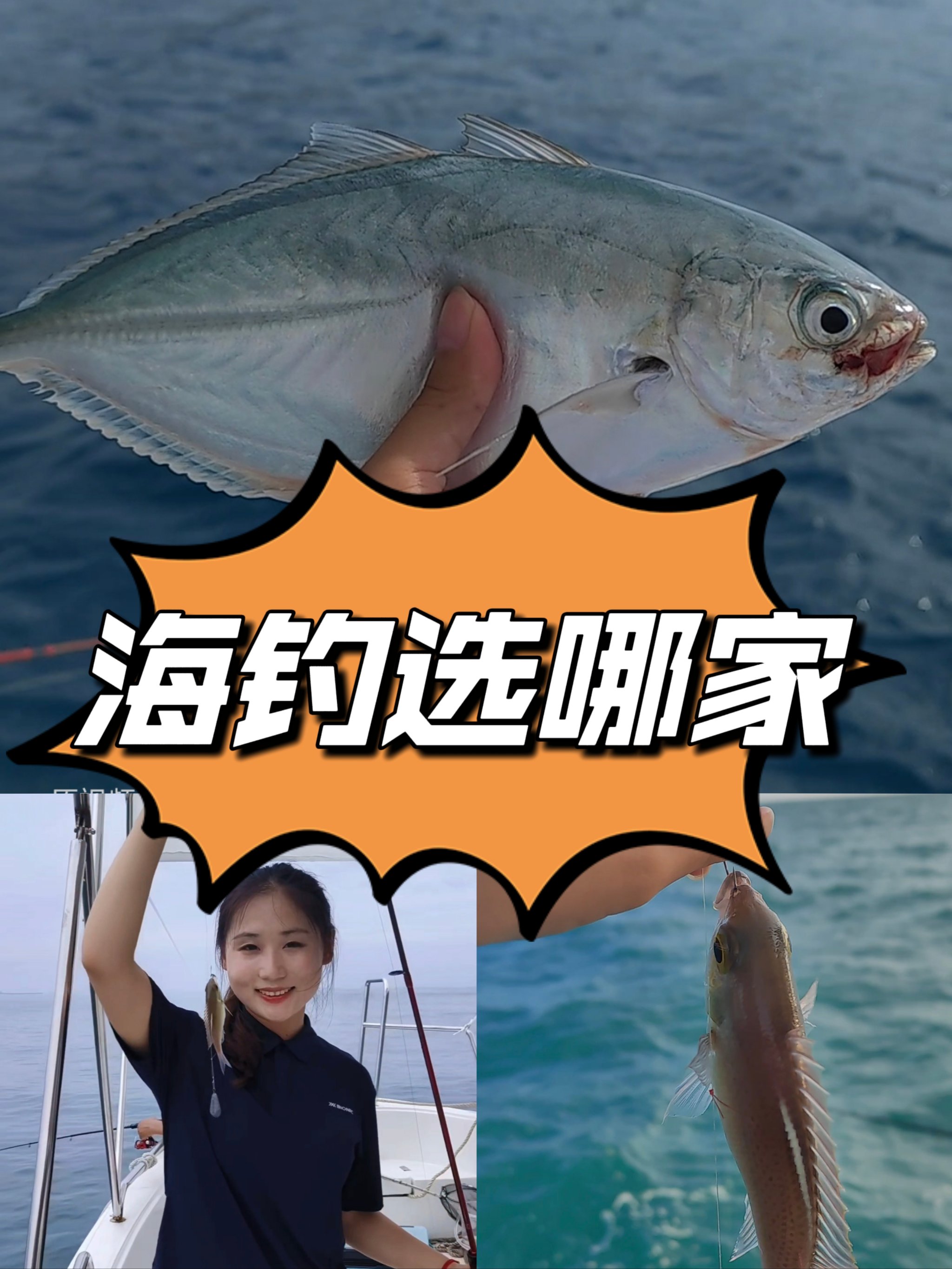 海钓鱼料怎么放(钓海鱼饵料配方自制)