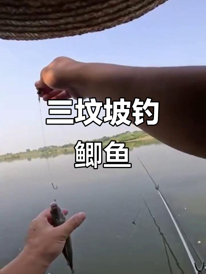 夏天江里钓鱼技巧(为什么手机微信会自动闪退)