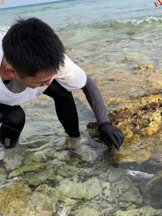 海钓肉鳝(海钓鲈鱼十句口诀)
