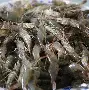 万佛湖钓红稍技巧(万佛湖免费自驾游攻略)