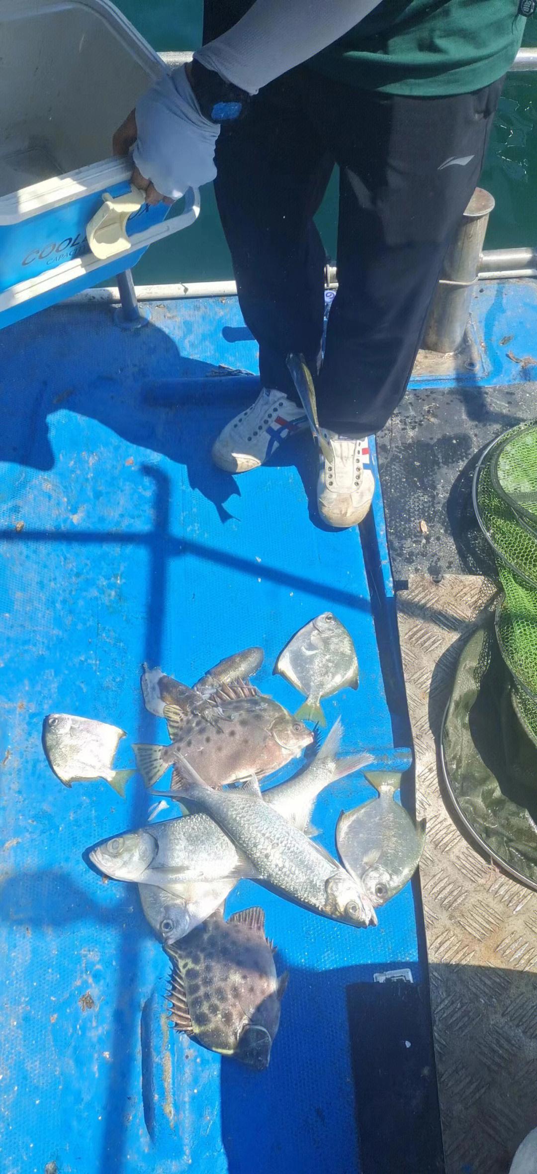 温岭8月海钓(温岭可免费钓鱼水库)