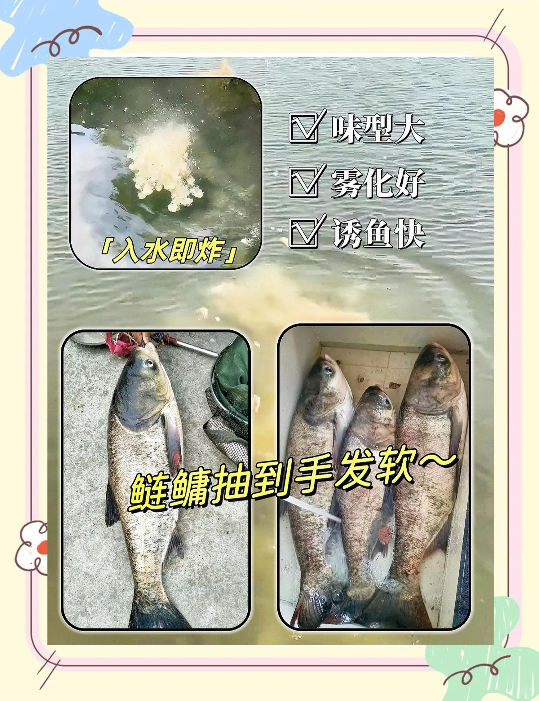 如何发酵酸性饵料(如何发酵酸性饵料钓鱼)