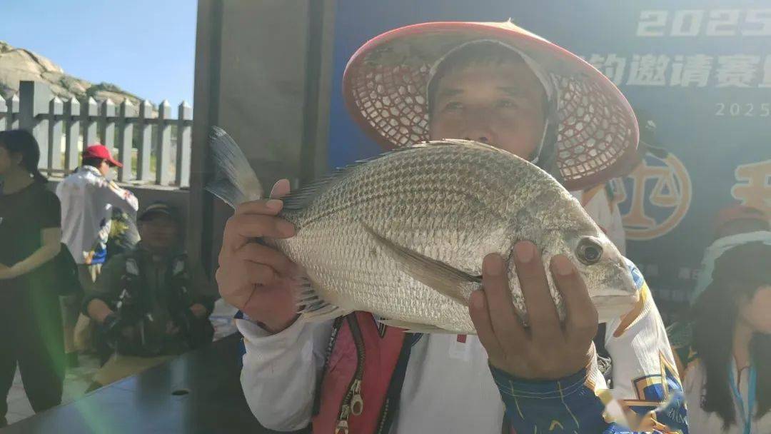 阳江潮汐海钓(阳江钓鱼频道潮汐)