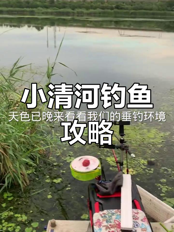 小清河用什么饵料钓鱼(小清河钓鱼用多长的杆子合适)