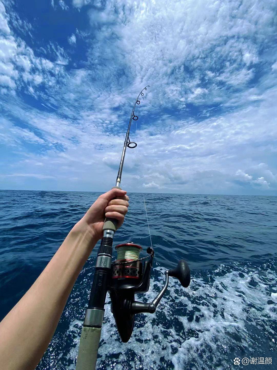 海钓码头钓鱼视频(海钓码头钓鱼视频大全)