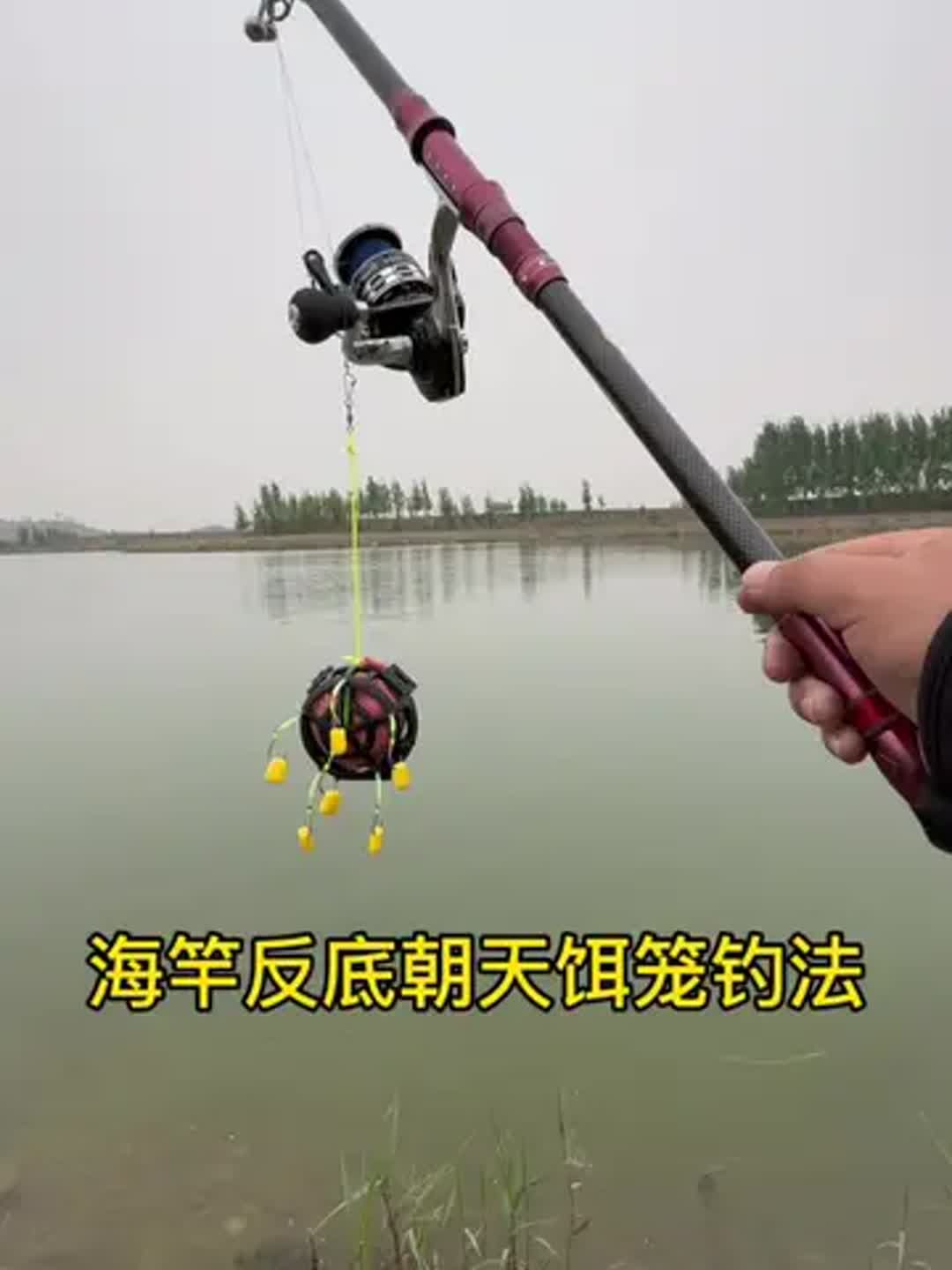 垂钓的实战技巧(垂钓的实战技巧有哪些)