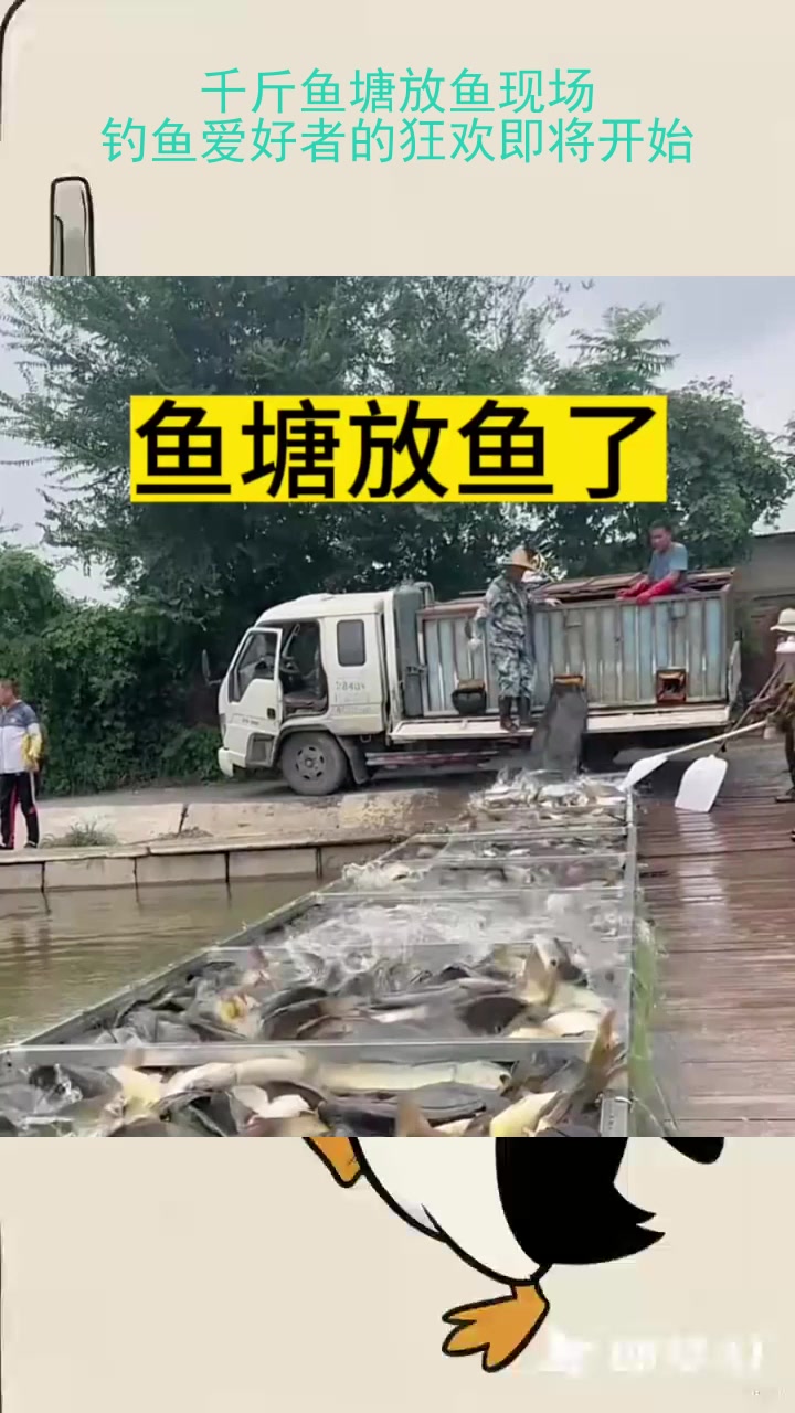 放钓鱼塘放鱼技巧(鱼塘放钓怎么经营好)