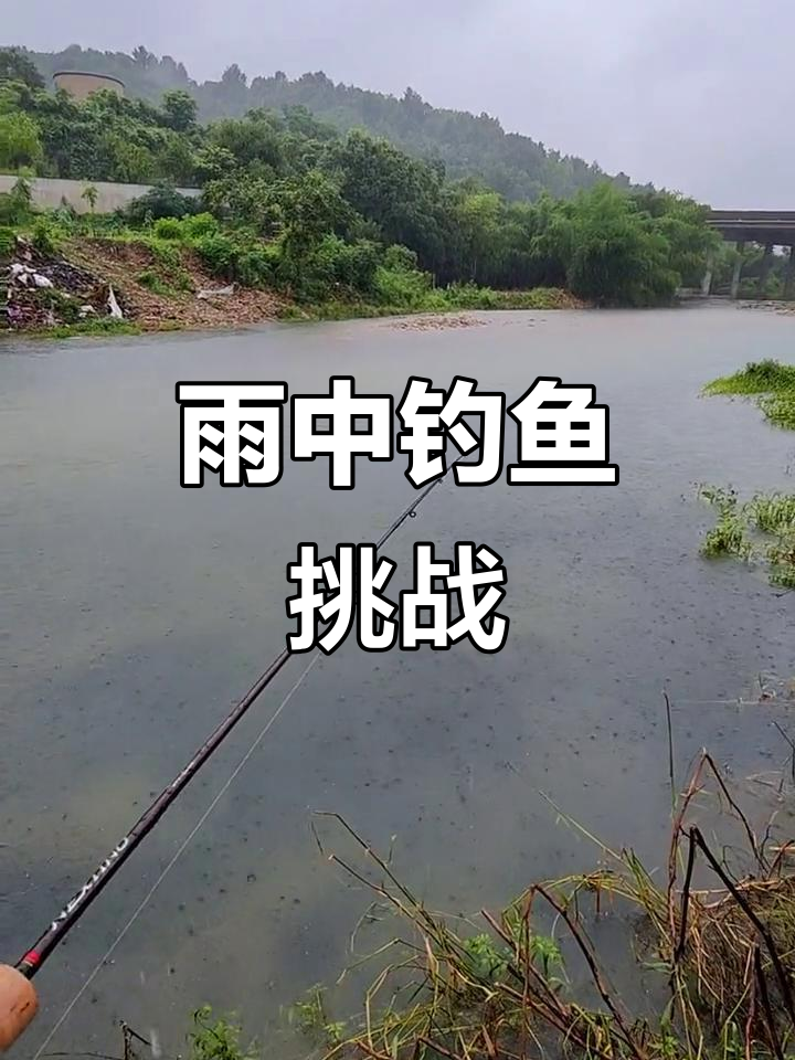下雨天适合路亚(下雨天路亚钓什么水层)