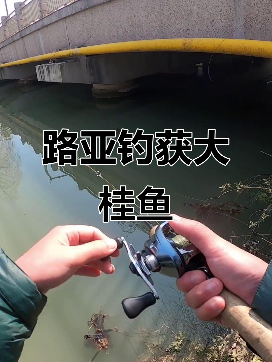 桂鱼路亚时间(桂鱼路亚钓法)