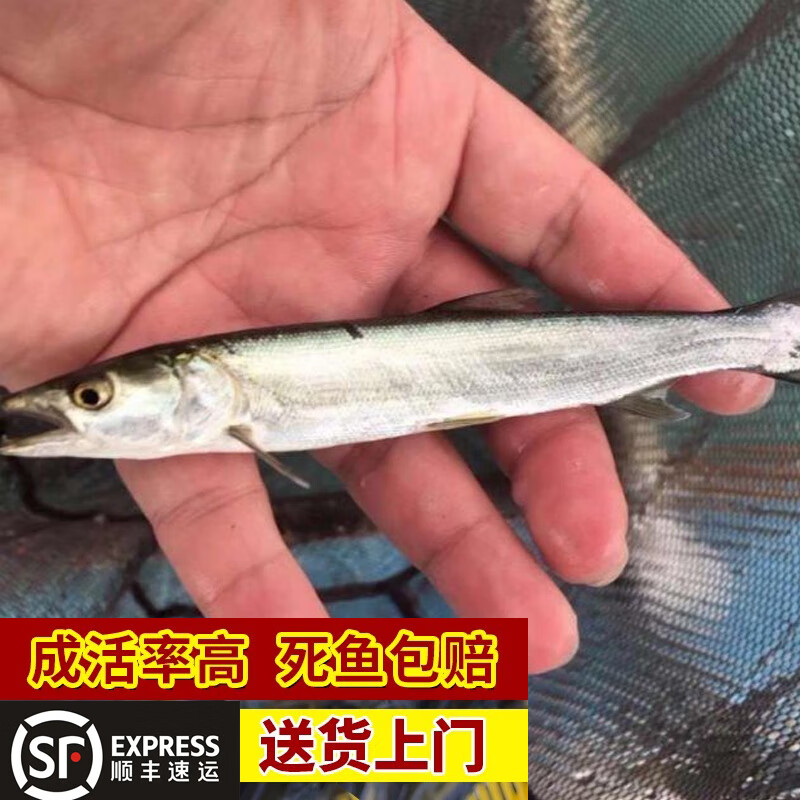 东南虎路亚(路亚竿排名十大品牌)