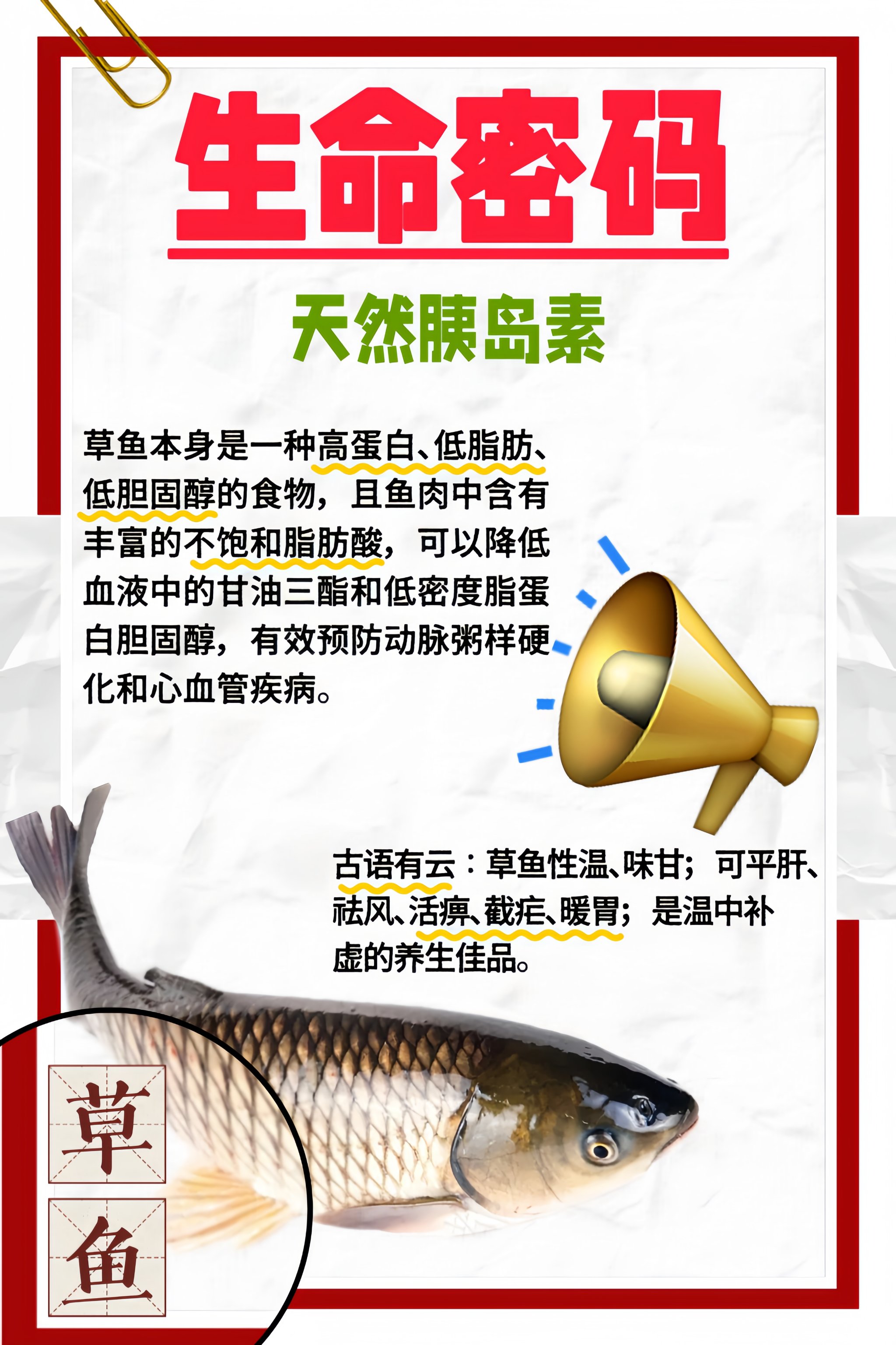 草鱼爱吃饵料吗(草鱼吃草不吃饵)