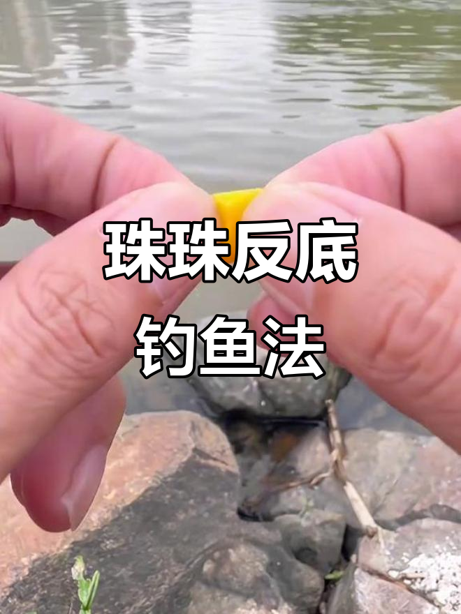 钓青鱼技巧网(钓青鱼教学视频)