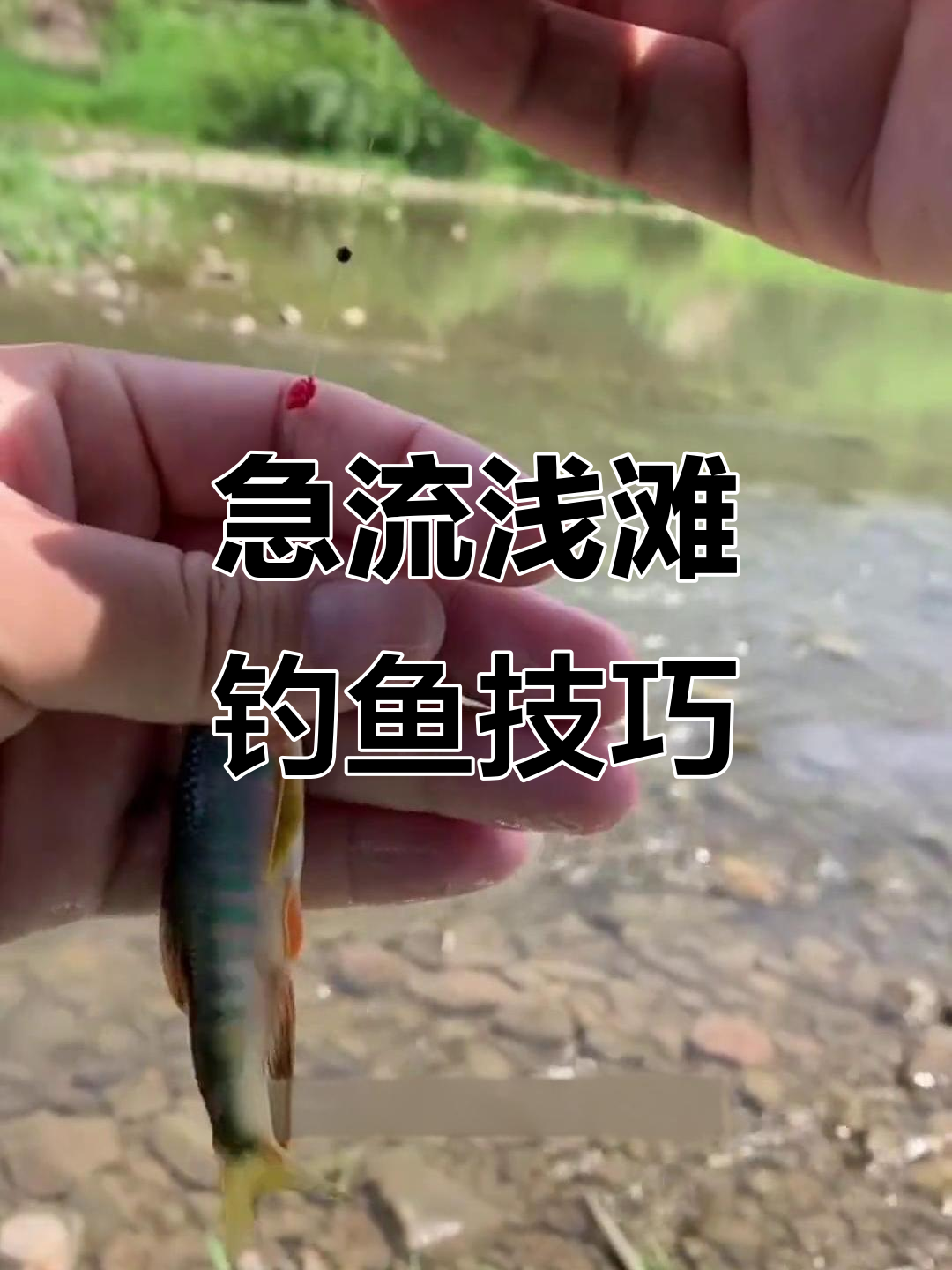 急流筏钓鱼技巧(急流水钓鱼的最佳方法)