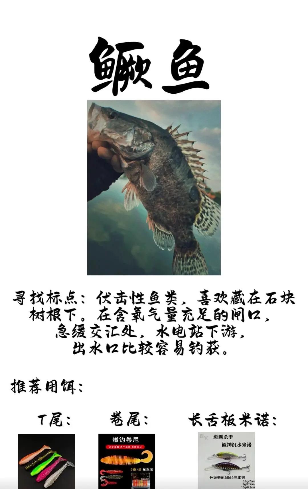 衢州路亚地点(龙游衢江哪里可以路亚)