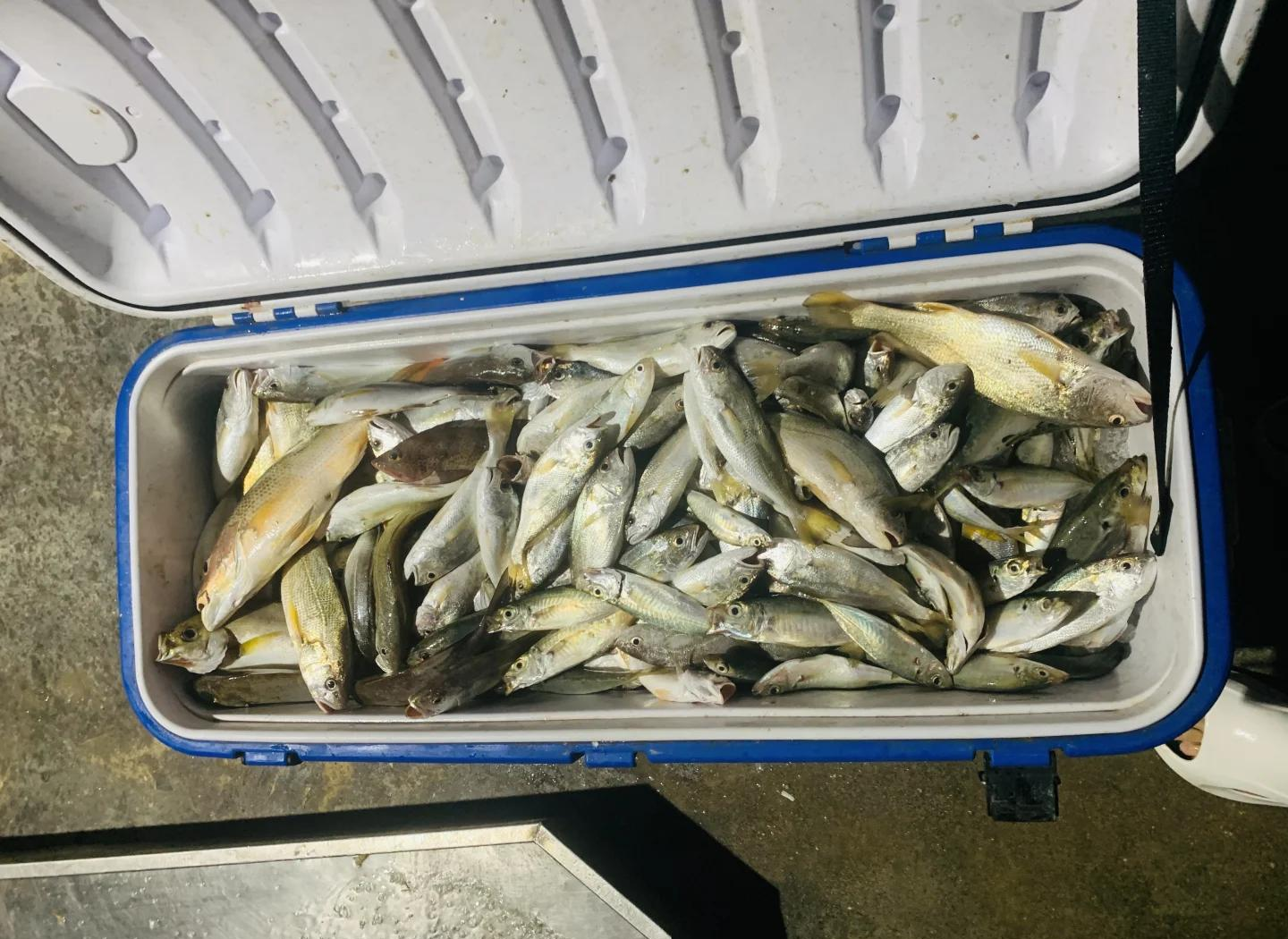 南麂海钓体验池(南麂岛出海捕鱼)
