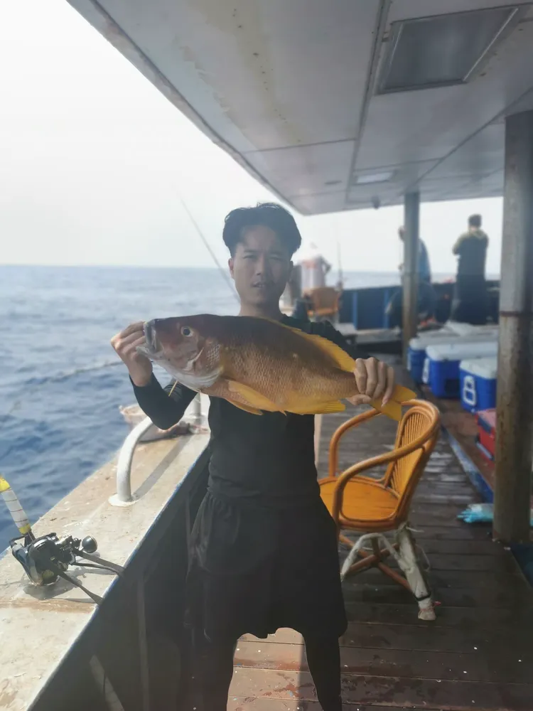 南油海钓有没有空军的(南油 海钓)