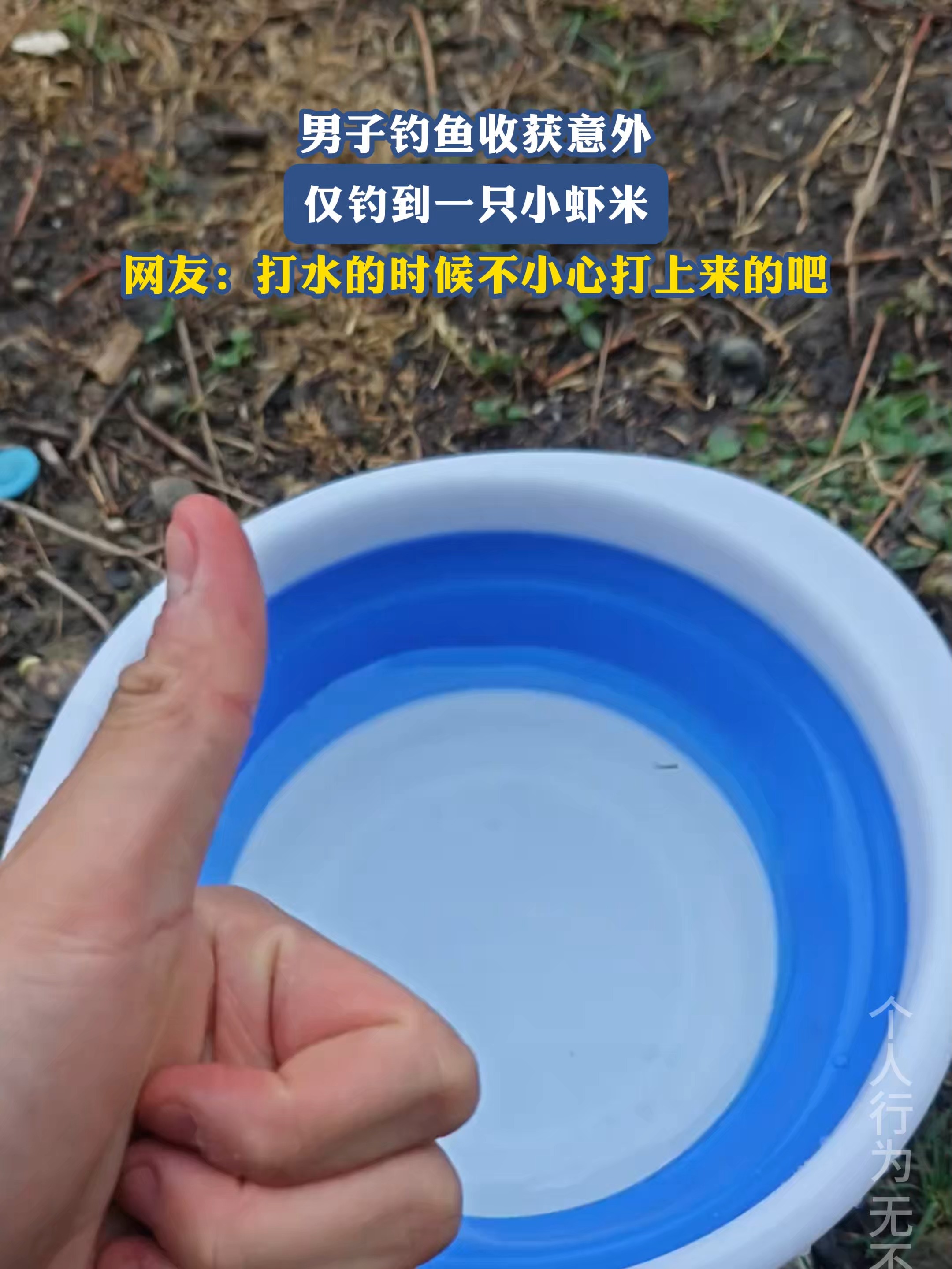 钓虾米的饵料(钓虾米用什么饵料)