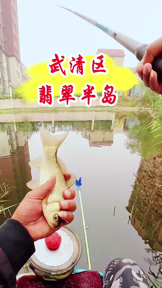 小米配饵料(小米配饵料冬季钓鲫鱼效果怎么样)