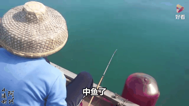 中国出海钓鱼视频(出海钓鱼事件)