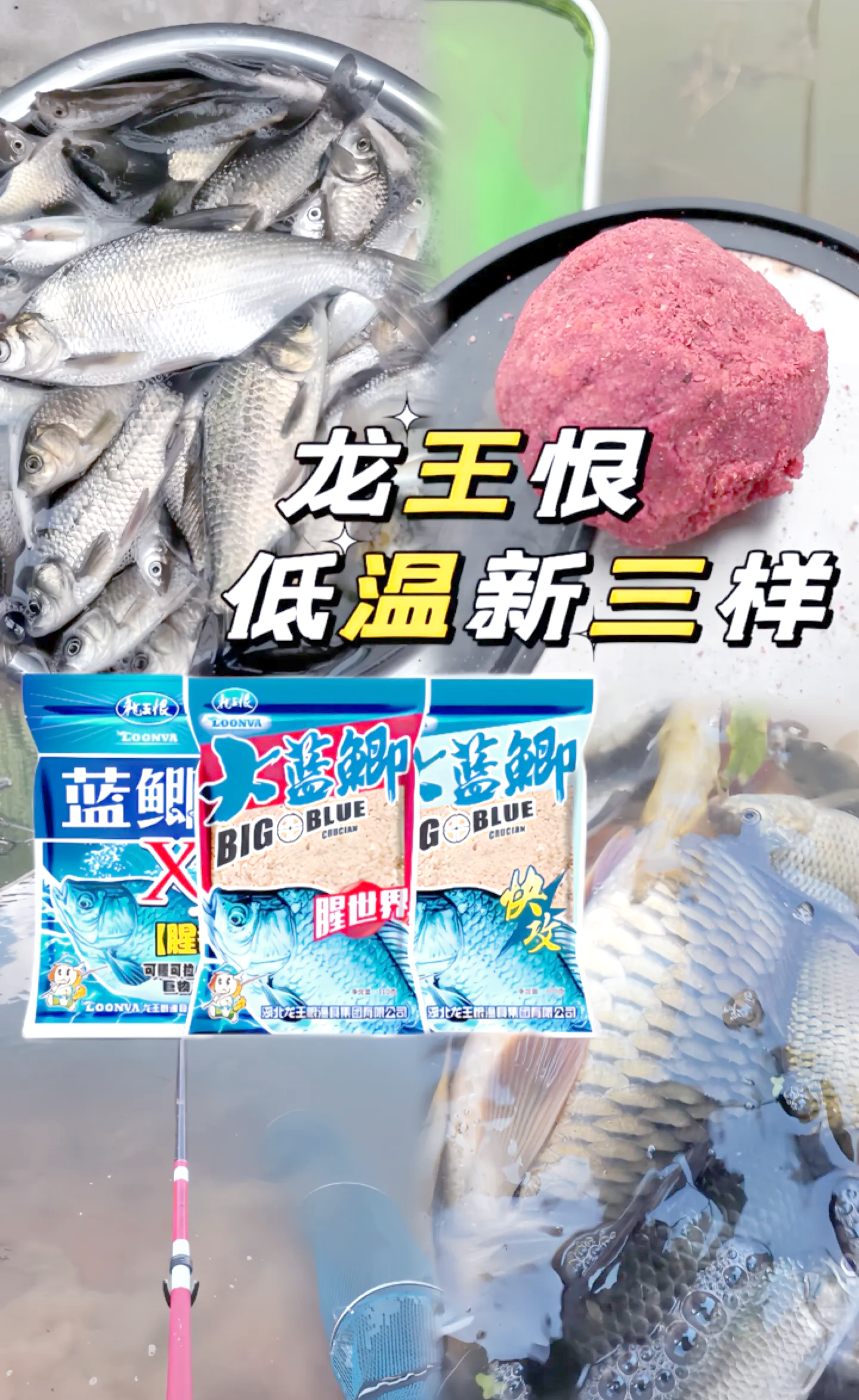 龙王恨饵料系列(龙王恨鱼饵配方 鲫鱼类配方)