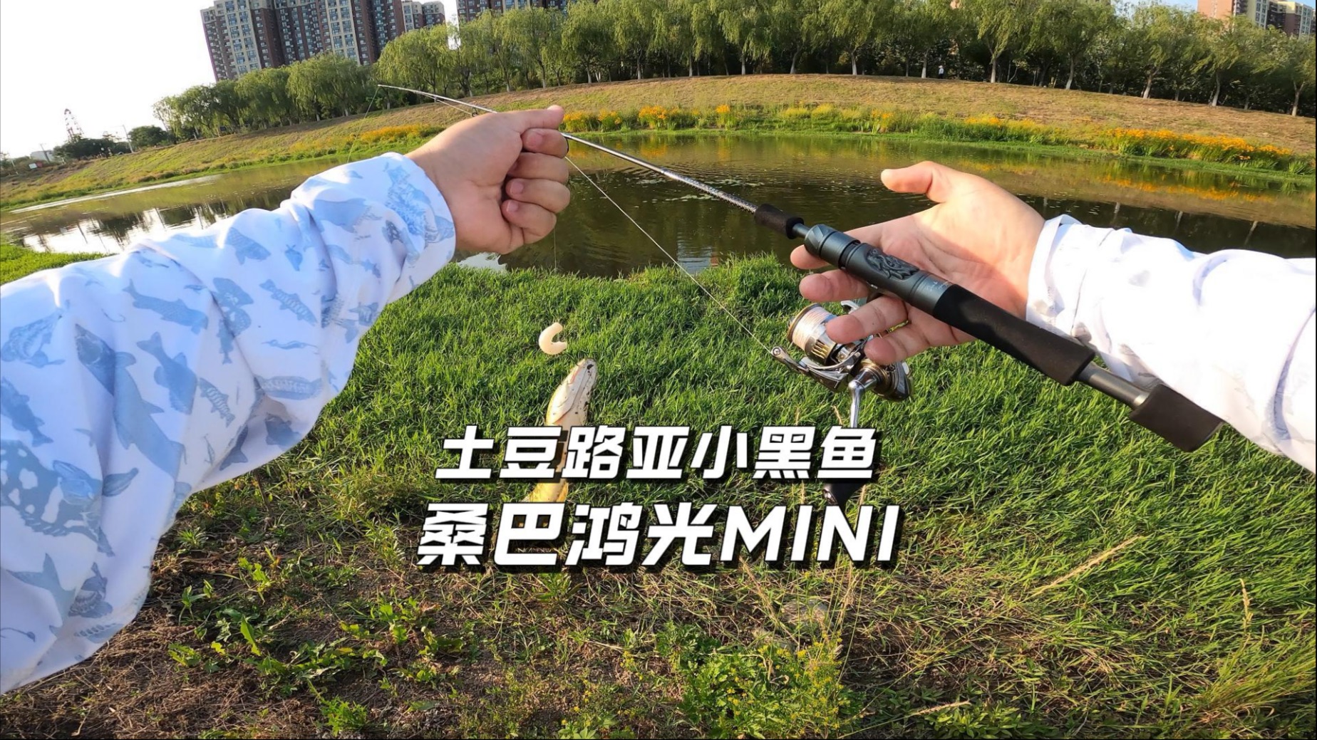 路亚钓黑鱼装备(钓黑鱼路亚竿)