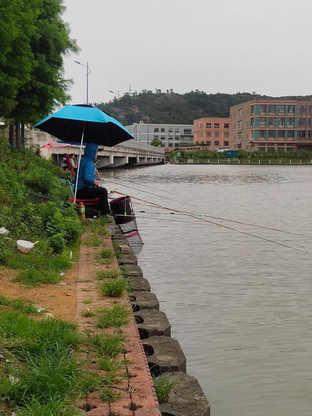 泉州沿海钓鱼(传承人和继承人的区别)