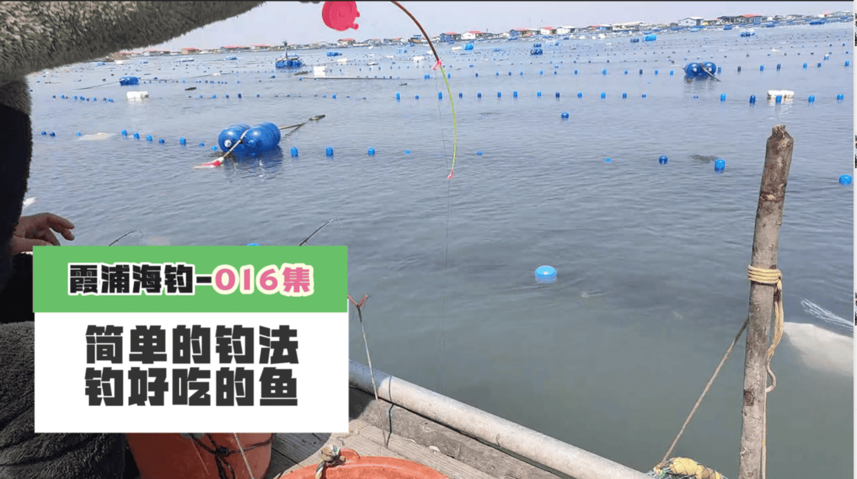 海钓冬天钓法(冬天海钓在什么位置合适)