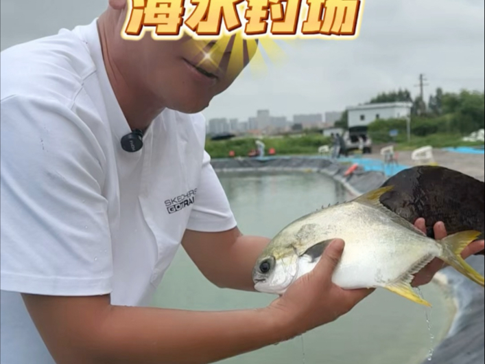 光头佬海钓场(疯狂钓鱼佬神话钓场系统)
