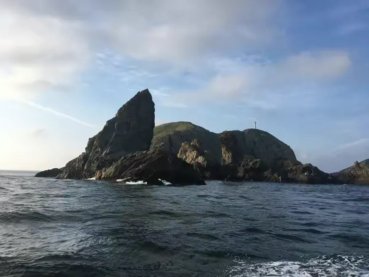 浪岗海钓石鲷(钓友公认十款最好海钓竿)
