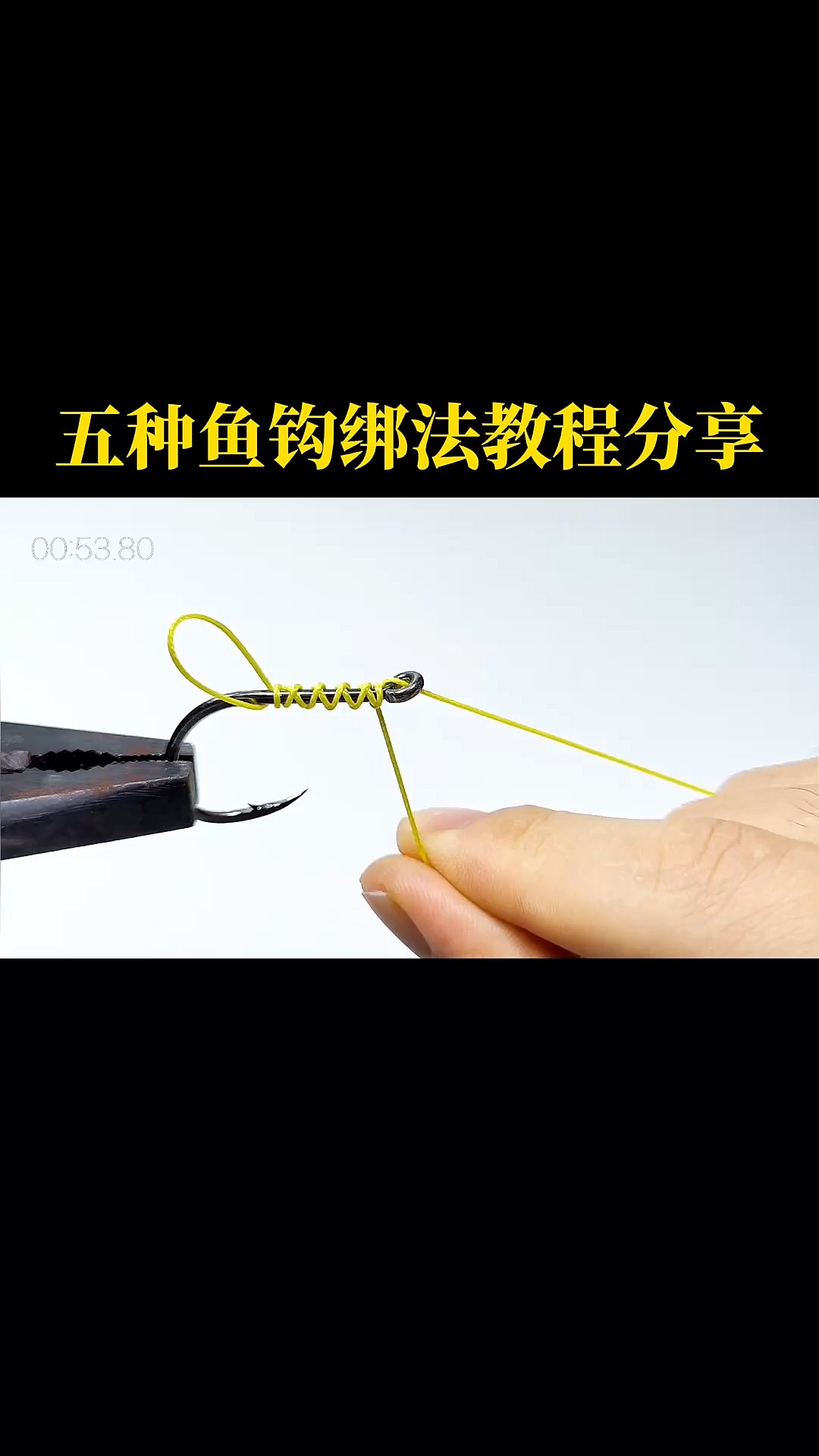 盘钩钓鱼技巧(盘钩如何使用)