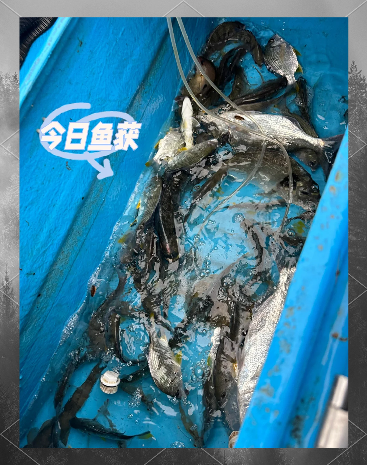太平湖筏钓技巧(2019太平湖筏钓地点及价格)